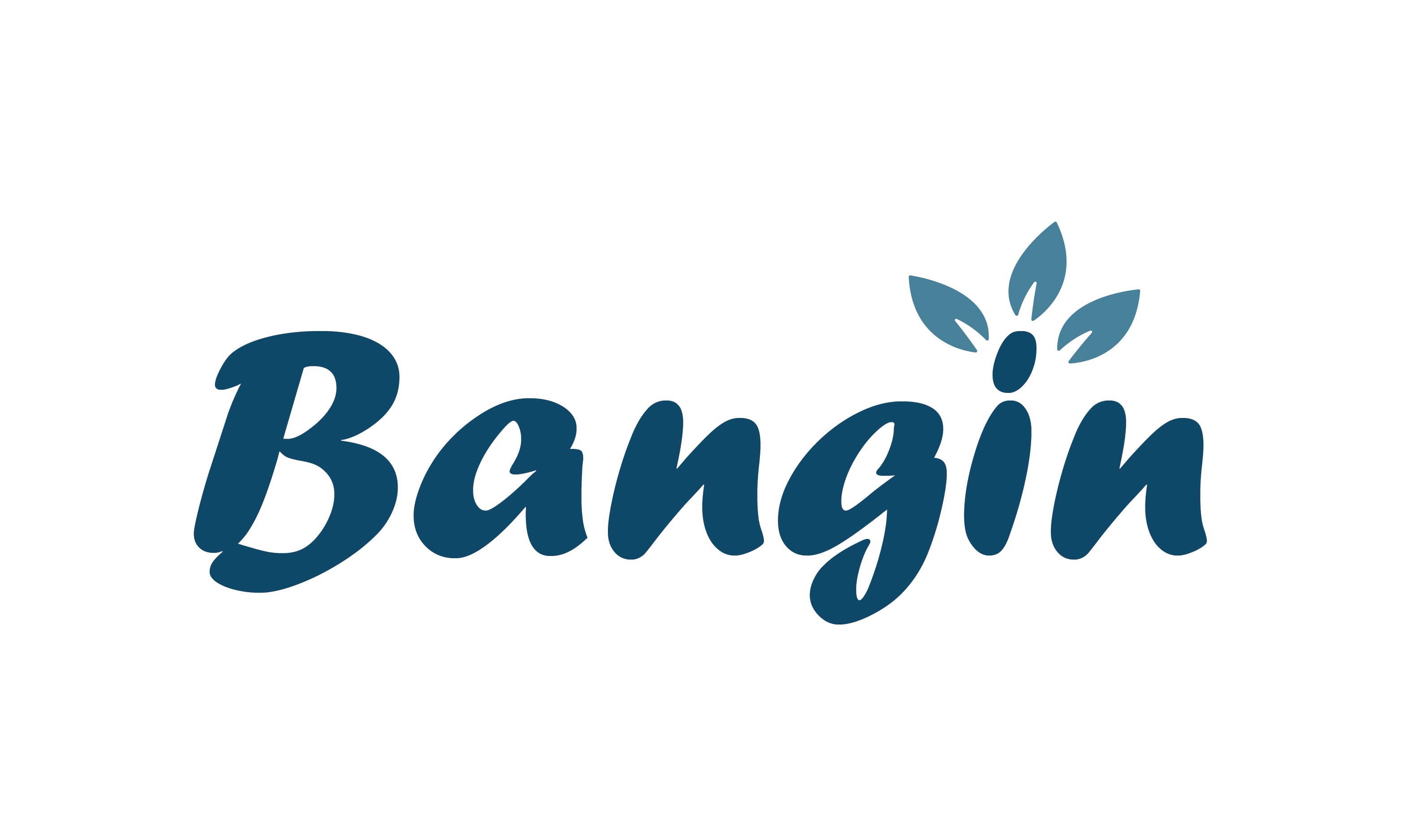 Bangin.com - buy Good premium names
